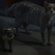 Image for article titled His Dark Materials' Series Finale Was All About Eve